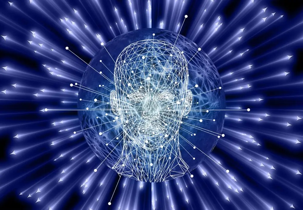 el cerebro el universo dentro de nosotros percepción - Como el cerebro se relaciona con la percepción