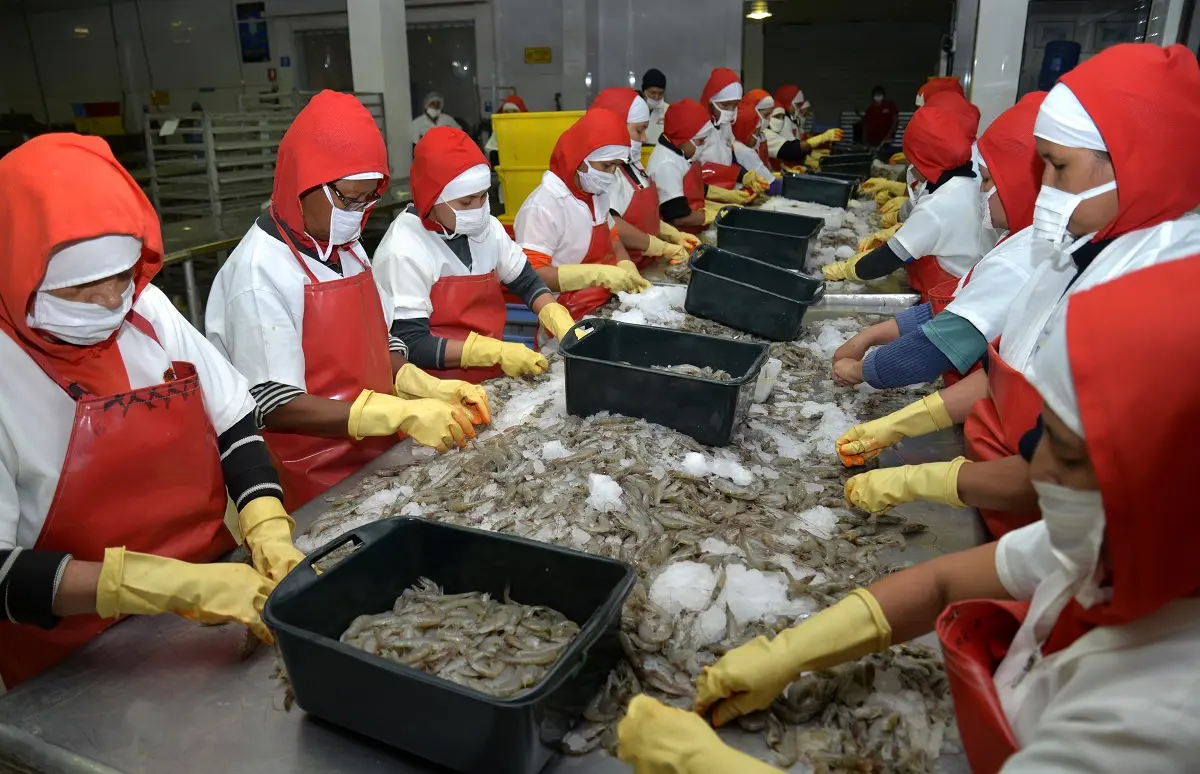 El Universo de Guayaquil Trabajo: Una Guía Completa para Encontrar Empleo - Cómo es el trabajo en el Ecuador el universo de guayaquil trabajo - Cómo es el trabajo en el Ecuador