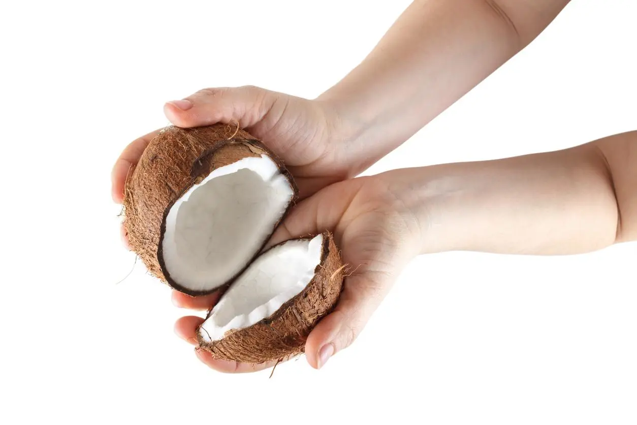 como abrir un coco el universo de cris - Cómo romper un coco sin cuchillo