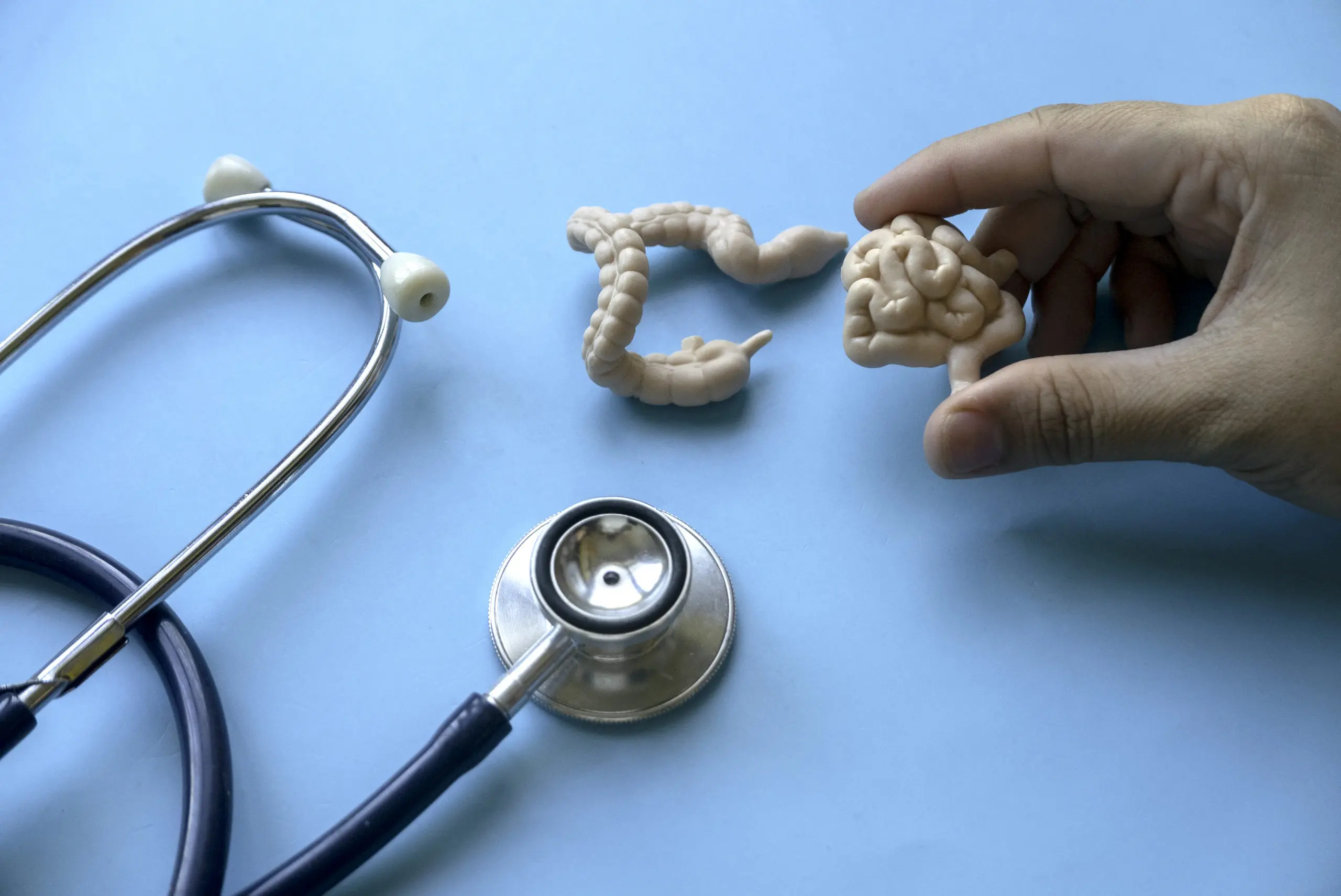 El libro del universo de la microbiota: Una guía para una salud óptima - Cómo saber cómo es mi microbiota libro universo microbiota - Cómo saber cómo es mi microbiota