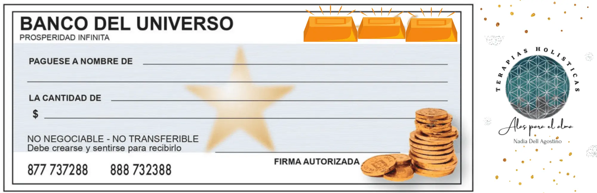 cheque universo abundancia - Cómo se escribe el cheque de la abundancia