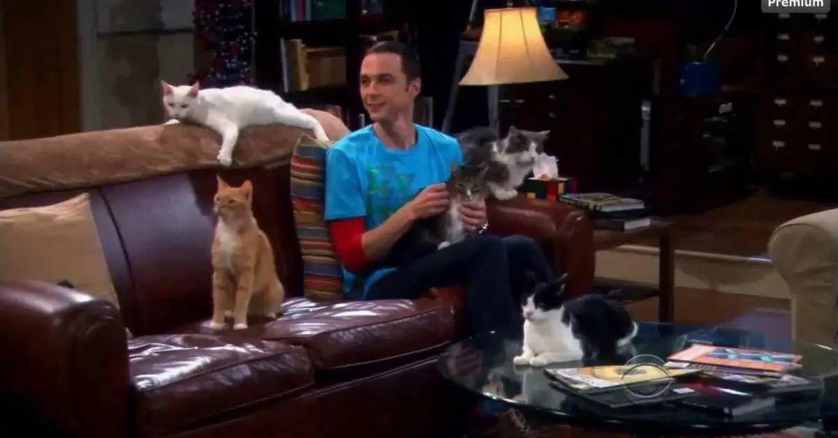 big bang theory capitulo sheldon portal a otro universo - Cómo se llamaba el gato de Sheldon