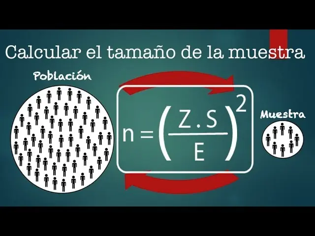 como sacar una muestra representativa de un universo - Cómo se obtiene la muestra representativa