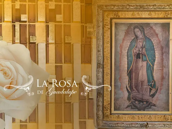 el centro del universo la rosa de guadalupe - Cómo ver La Rosa de Guadalupe en España