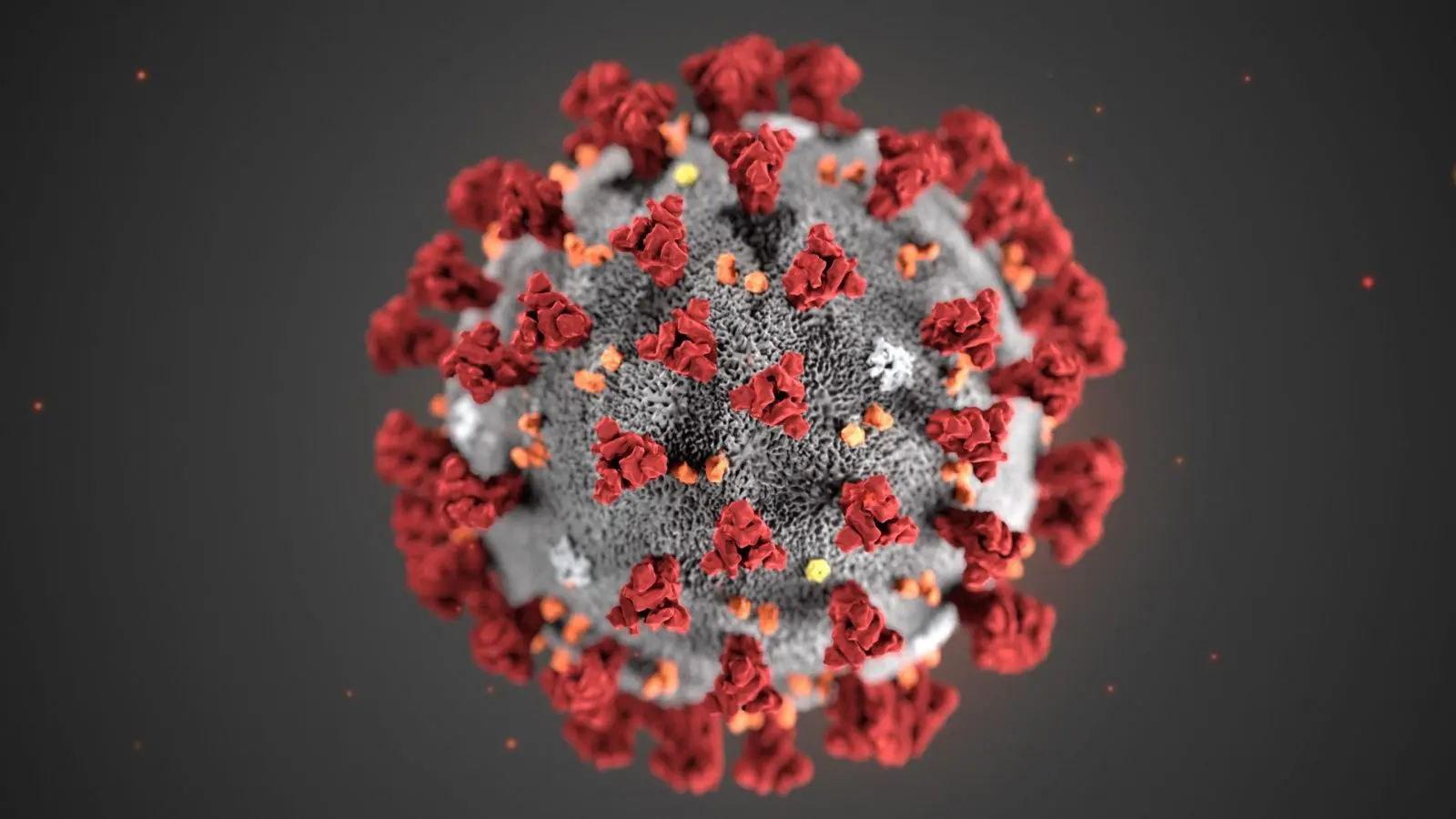coronavirus universo - Dónde proviene el coronavirus