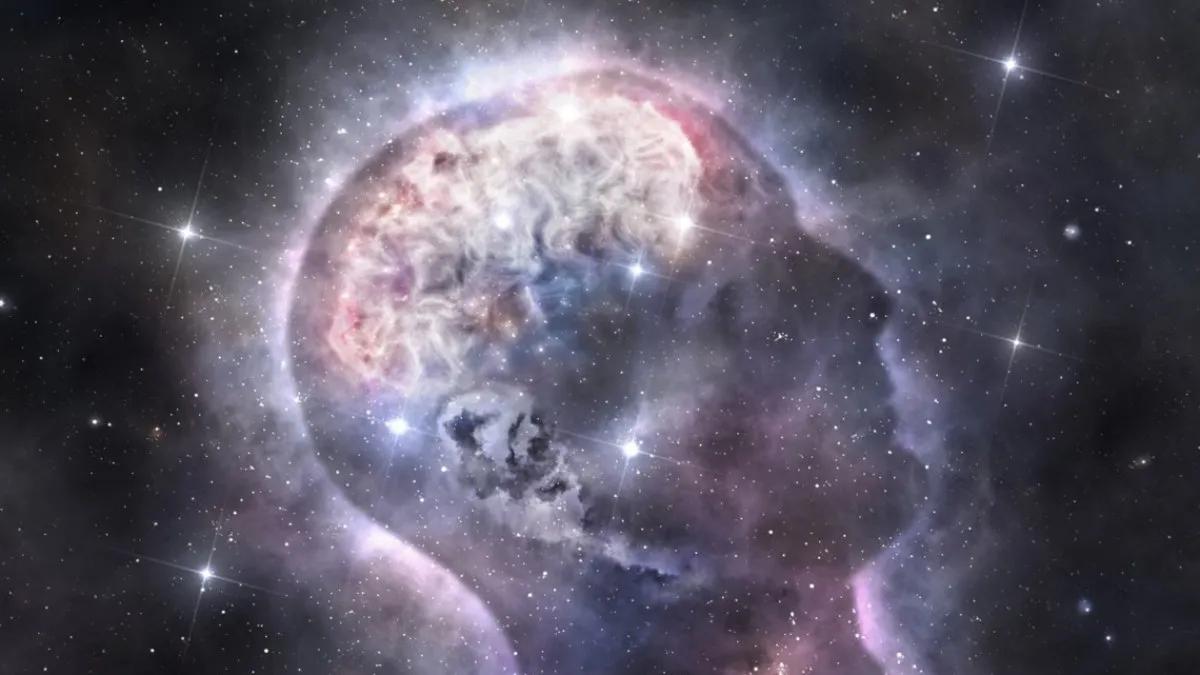 el cerebro es el hijo del universo - Por qué el cerebro es el órgano más importante