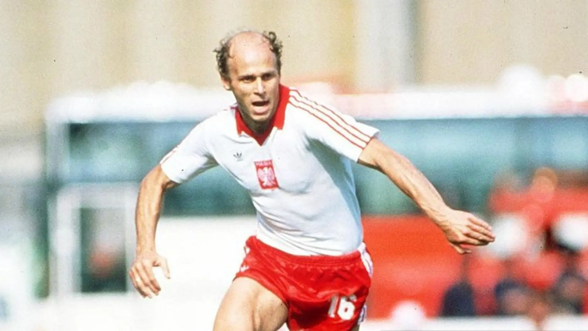 Convocatoria Polonia Mundial El Universo: La Historia de la Selección Polaca de Fútbol - Qué atleta polaco era bien conocido por sus contribuciones en las Copas del Mundo en México en 1986 y en España en 1982 convocatoria polonia mundial el universo - Qué atleta polaco era bien conocido por sus contribuciones en las Copas del Mundo en México en 1986 y en España en 1982
