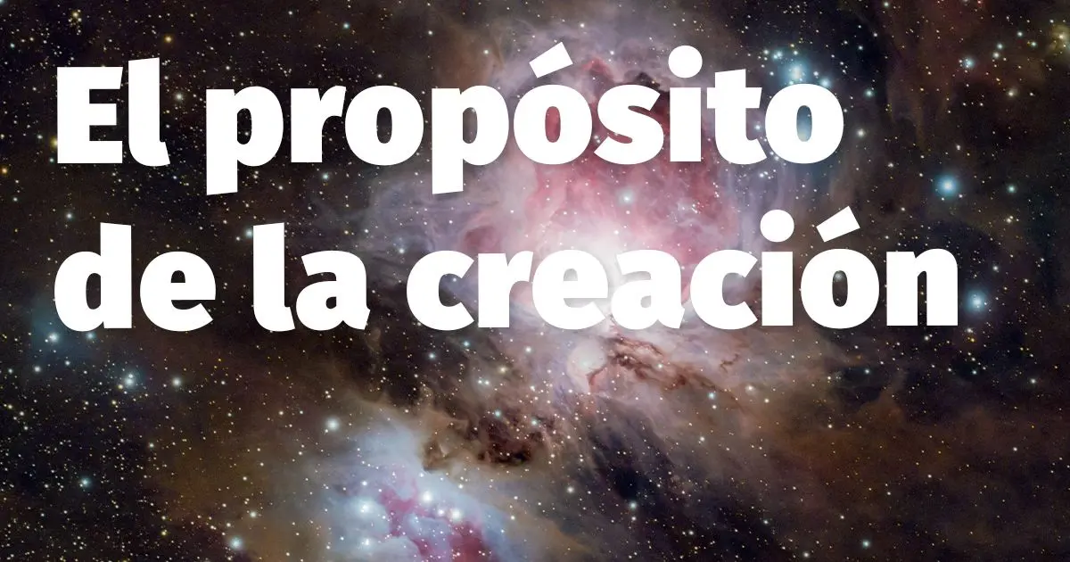 El Compromiso Profundo: Respeto a la Vida Humana y al Universo - Qué es un compromiso de respeto comrpomiso de respeto y creacion al universo - Qué es un compromiso de respeto