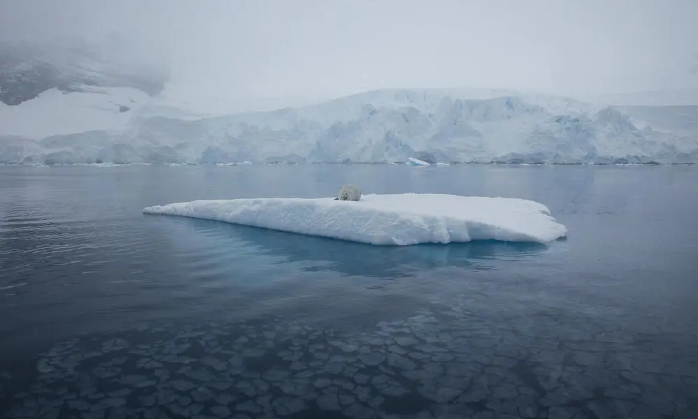 capa de hielo universo - Qué está pasando con las capas de hielo