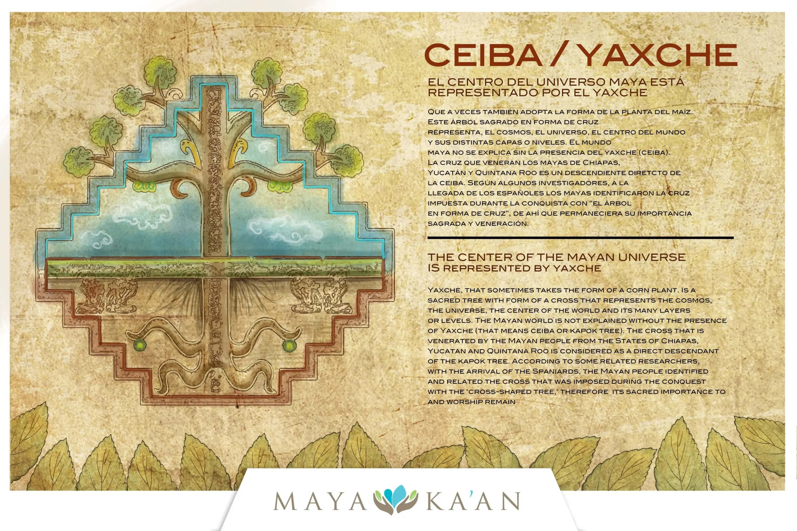 arbol del universo maya - Qué representa el árbol en la cosmovisión maya