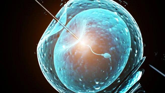 señales del universo embarazo - Qué señal te da cuando estás embarazada