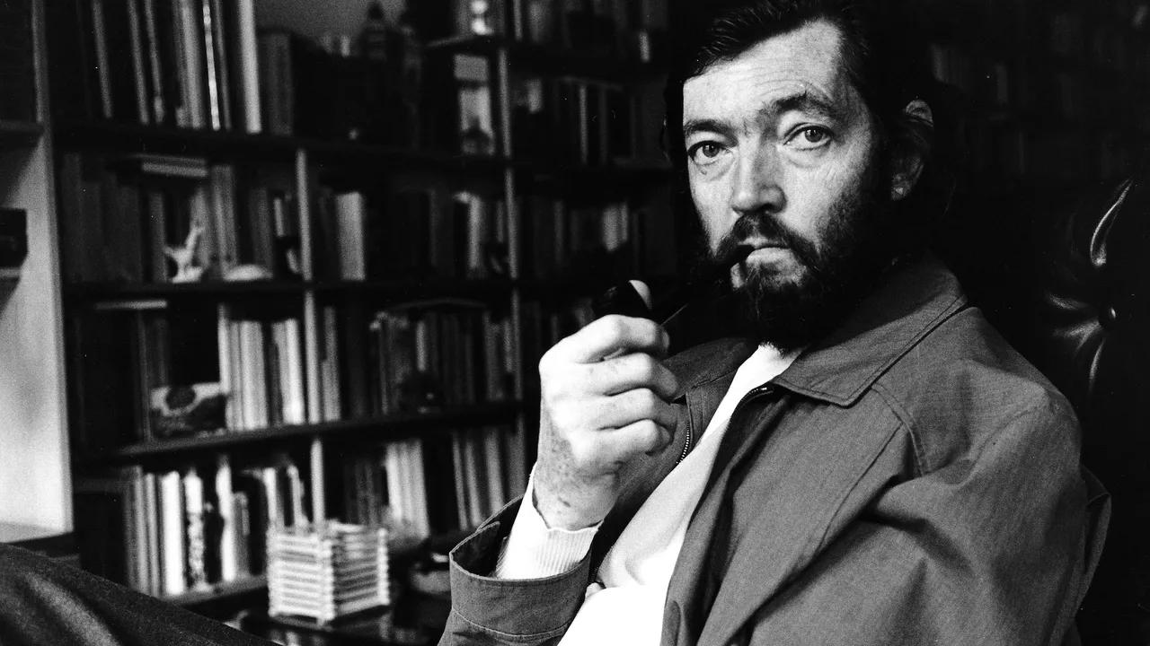 cortázar sobre el universo - Qué temas trata Julio Cortázar