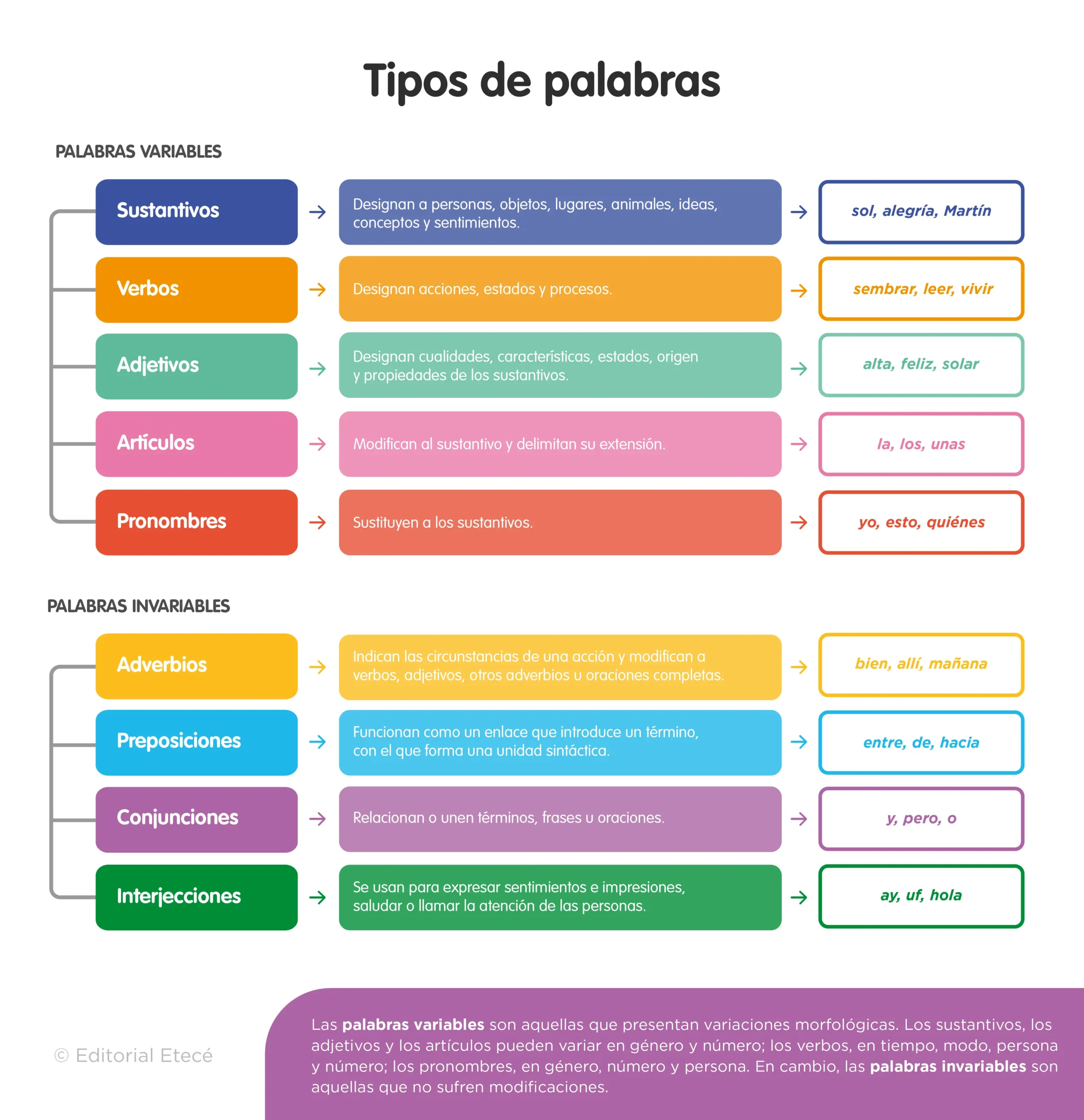 categoría gramatical de universo - Qué tipo de categoría gramatical es cada