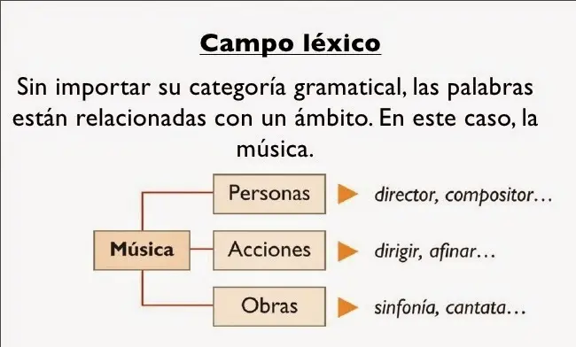 categoría gramatical de universo - Qué tipo de categoría gramatical es cuál