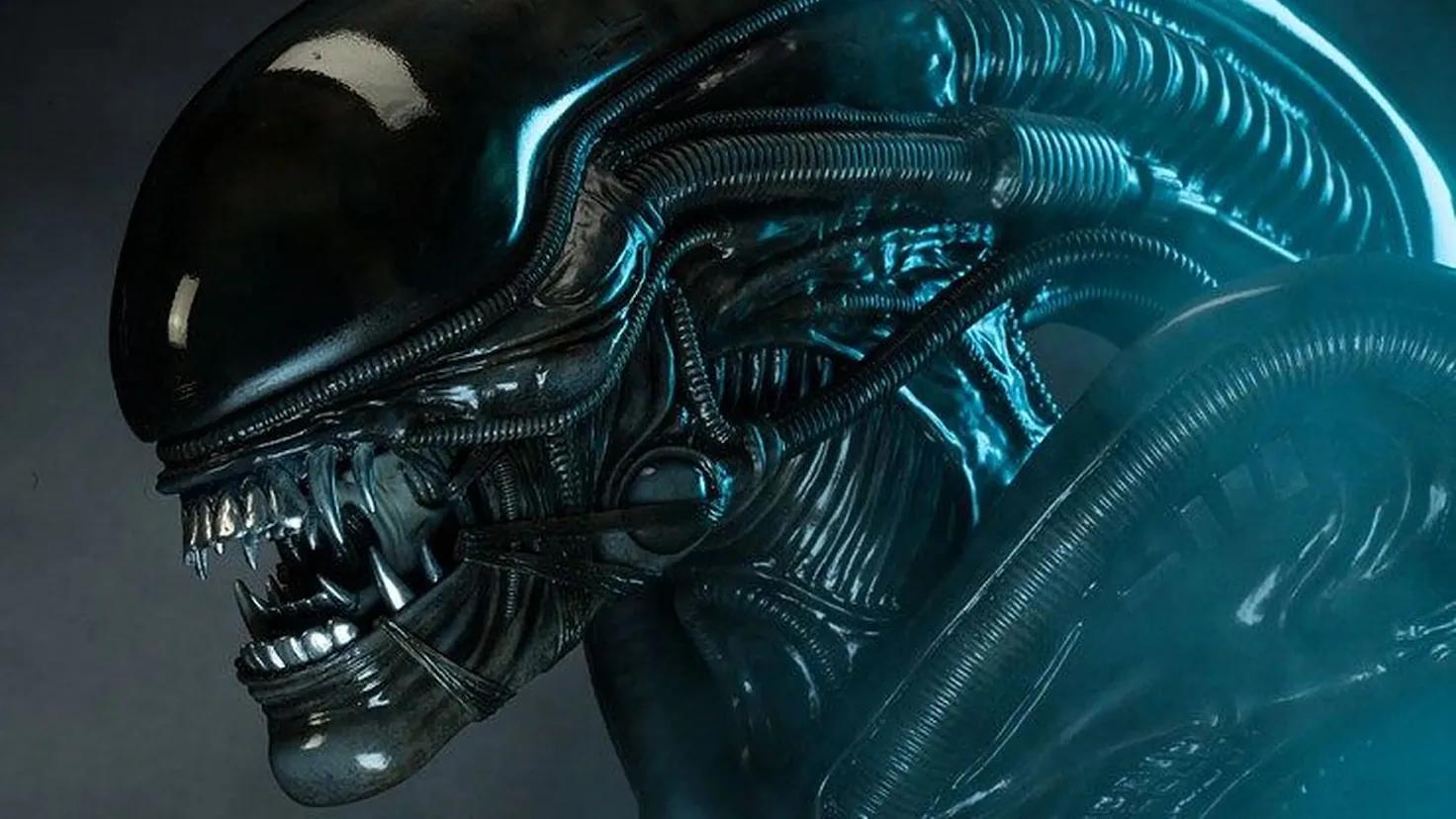 alien y depredador son del mismo universo - Qué ver primero Alien o Depredador