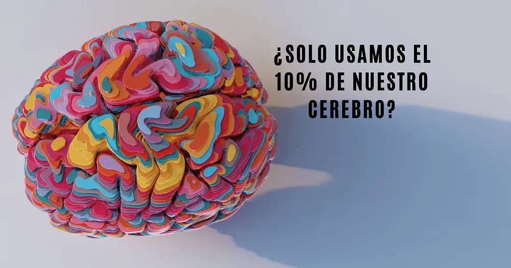 el universo del cerebro cuestionario - Quién dijo que sólo usamos el 10% de nuestro cerebro