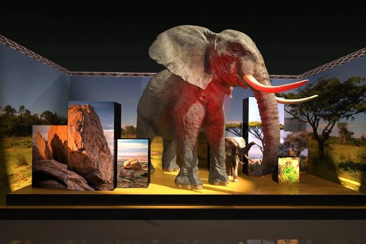 universo salvaje - Quién escribio salvaje