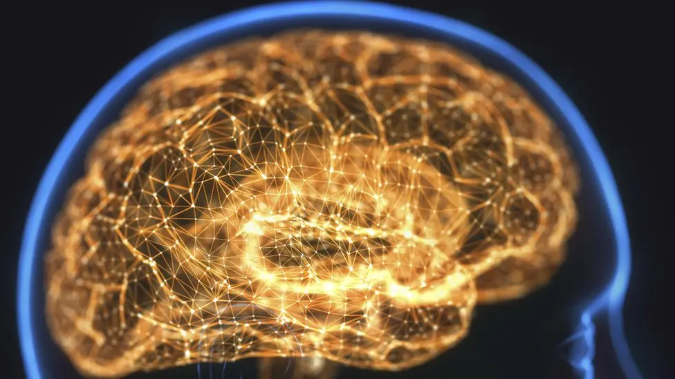 el cerebro es el hijo del universo - Quién manda al cerebro